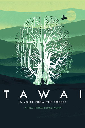 Tawai: A Voice from the Forest - TopStrem