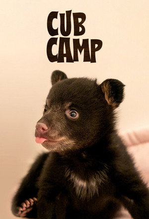 Cub Camp - TopStrem