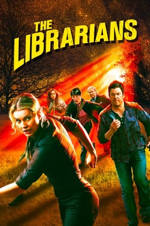 Flynn Carson et les nouveaux aventuriers - TopStrem