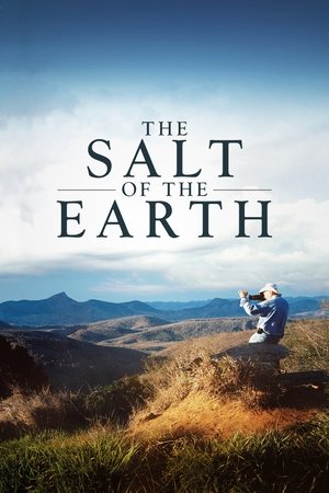 Il sale della terra - TopStrem