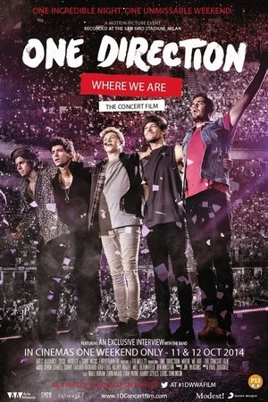 One Direction: Where We Are - The Concert Film - TopStrem