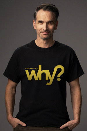 Poster Todd Sampson's Why?