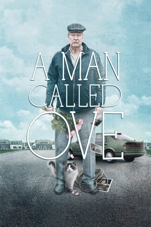A Man Called Ove - TopStrem