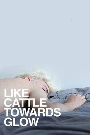 Like Cattle Towards Glow - TopStrem