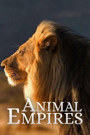 Animal Empires - TopStrem