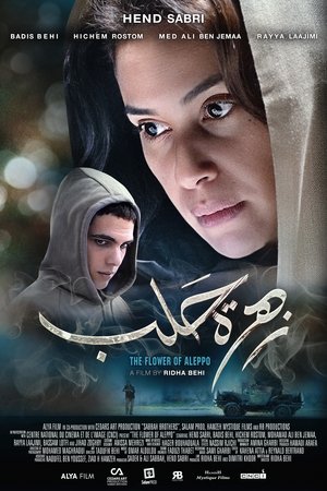 زهرة حلب - TopStrem