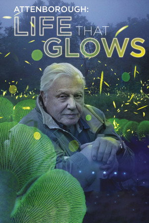 Attenborough's Life That Glows - TopStrem