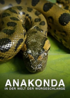 Anakonda - In der Welt der Würgeschlange - TopStrem