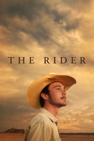 The Rider - TopStrem