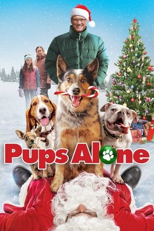 Hunde - Allein zu Haus - TopStrem