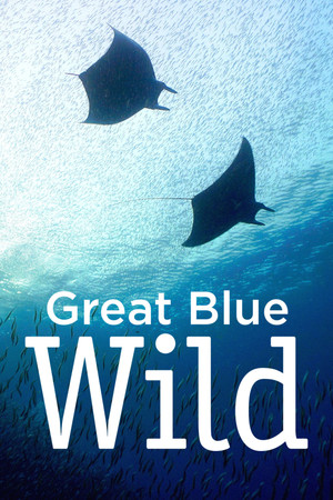 Great Blue Wild - TopStrem