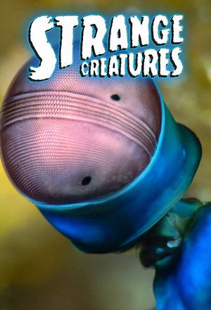 Strange Creatures - TopStrem