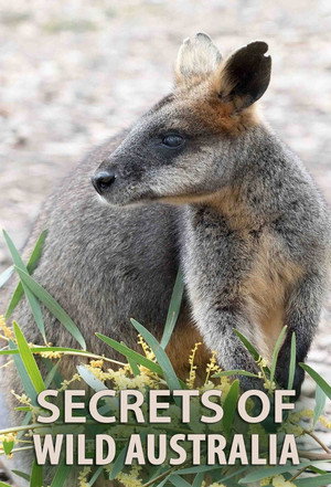 Secrets of Wild Australia - TopStrem