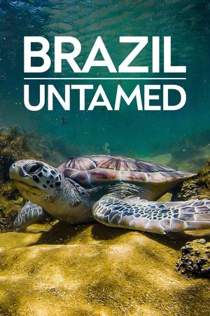 Brazil Untamed - TopStrem