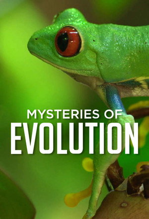 Mysteries of Evolution - TopStrem
