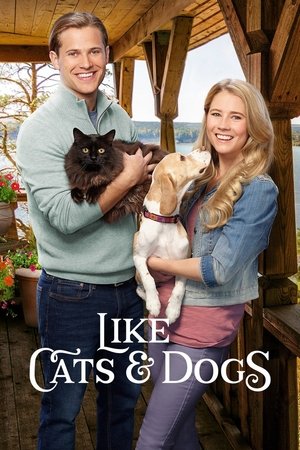 Zwei wie Hund und Katz' - TopStrem