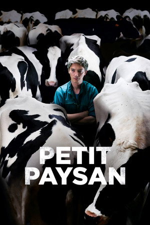 Petit Paysan - TopStrem