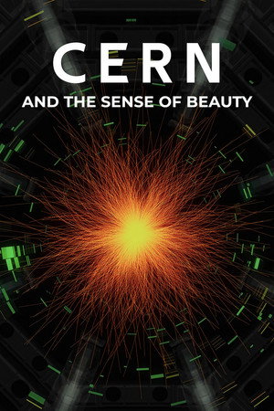 Il senso della bellezza - Arte e scienza al CERN - TopStrem