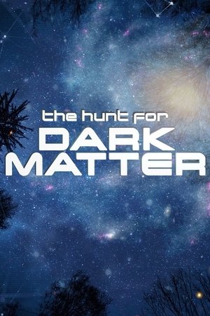 The Hunt for Dark Matter - TopStrem