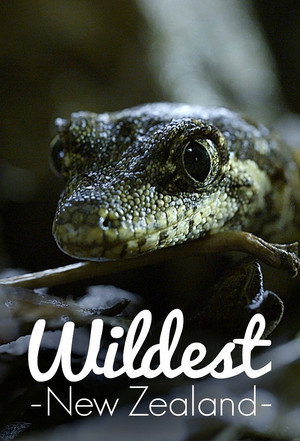 Wildest New Zealand - TopStrem