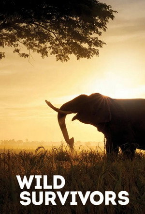 Poster Wild Survivors