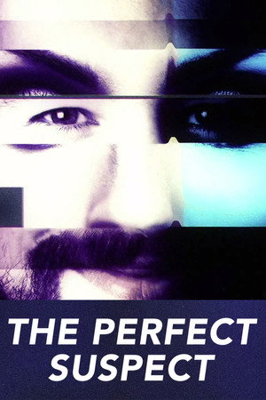 Poster The Perfect Suspect