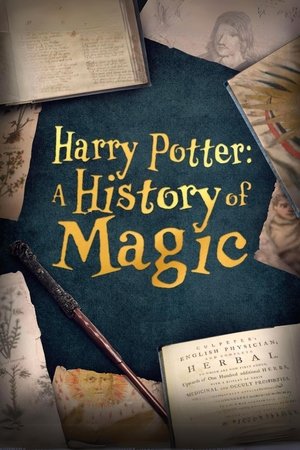 Harry Potter: A History Of Magic - TopStrem