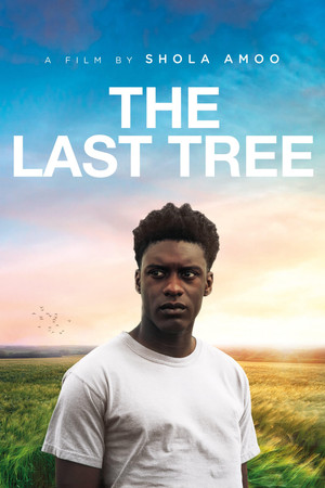 The Last Tree - TopStrem
