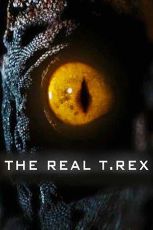 The Real T Rex with Chris Packham - TopStrem