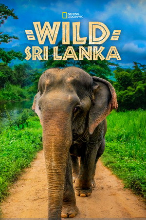 Wildes Sri Lanka - TopStrem