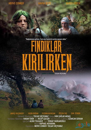 Fındıklar Kırılırken - TopStrem