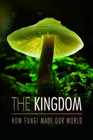 The Kingdom: How Fungi Made Our World - TopStrem