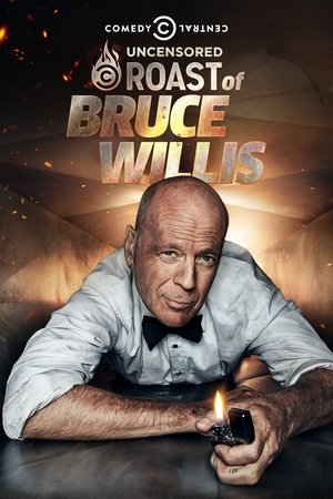Comedy Central Roast of Bruce Willis - TopStrem