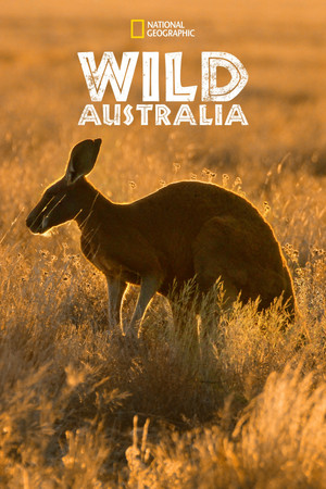 Wildes Australien - TopStrem