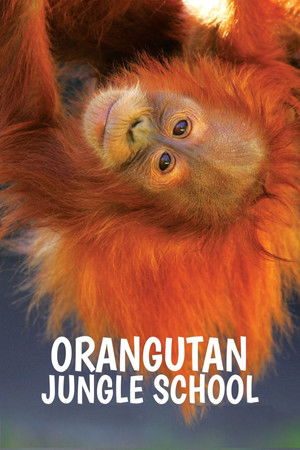 Orangutan Jungle School – Kindergarten mal anders - TopStrem