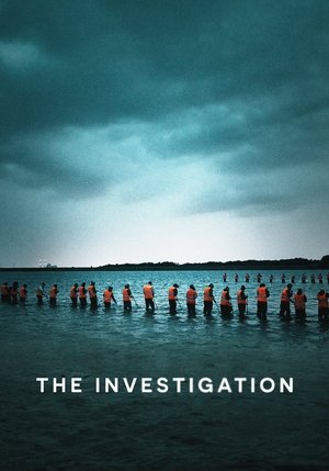 The Investigation - TopStrem