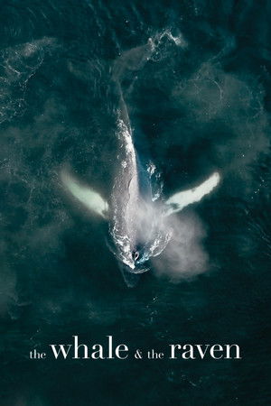 The Whale and the Raven - TopStrem