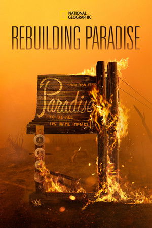 Rebuilding Paradise - TopStrem